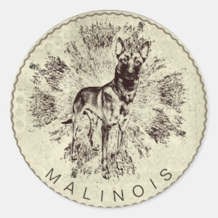 Adesivo Redondo Malinois - pastor belga - Mechelaar - Maligator