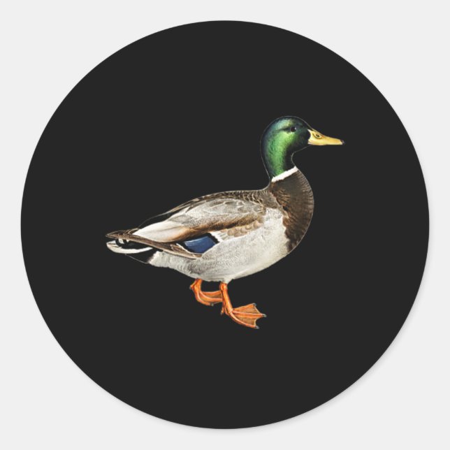 Adesivo Redondo Mallard Drake Pocket Logo Mallard Ducks Hunti (Frente)