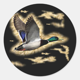 Adesivo Redondo Mallard Duck Hunting