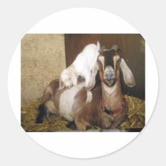 Adesivo Redondo Mamãe e Baby Goat