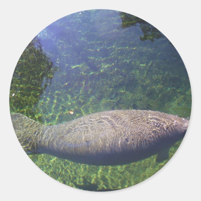 Adesivo Redondo Manatee (Frente)