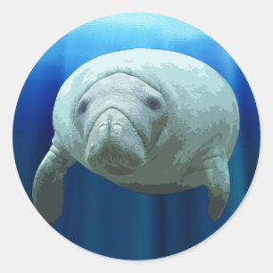 Adesivo Redondo Manatee Sticker