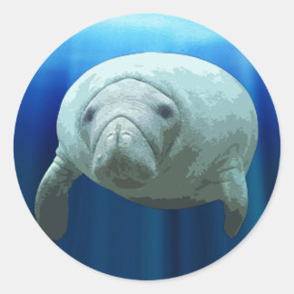 Adesivo Redondo Manatee Sticker
