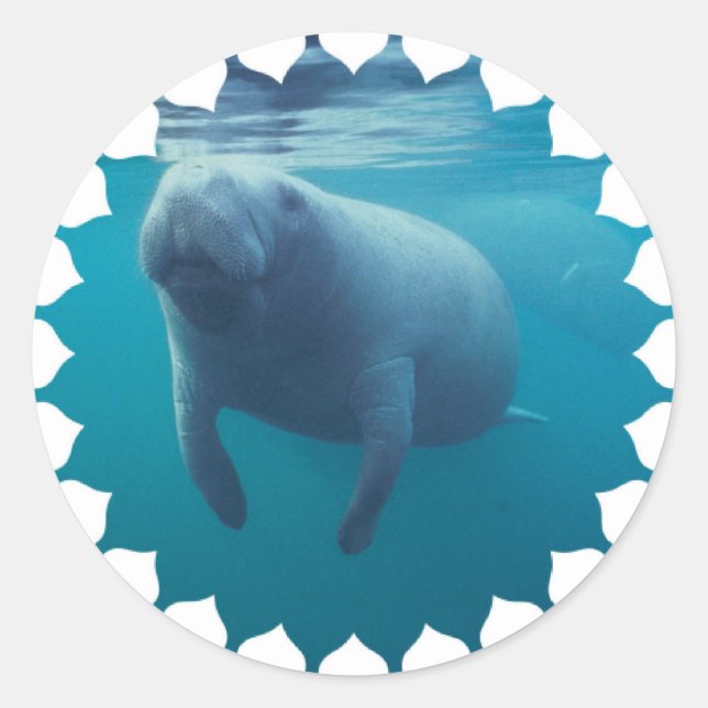 Adesivo Redondo Manatee Stickers (Frente)