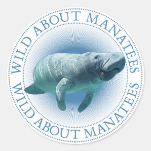 Adesivo Redondo Manatee Stickers