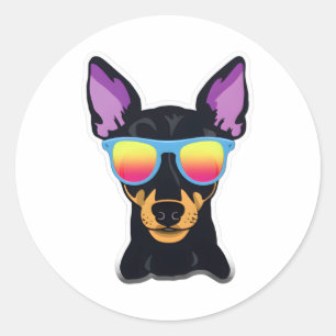 Adesivo Redondo Manchester Terrier em Legal óculos de sol clássico