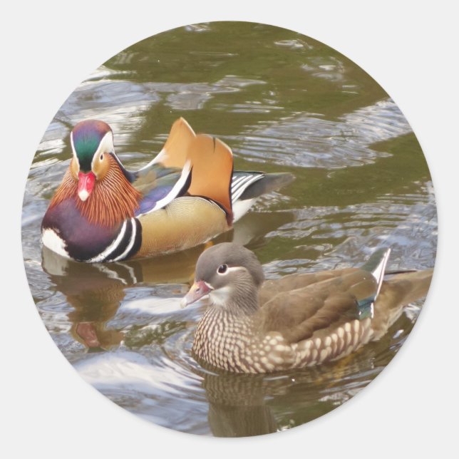 Adesivo Redondo Mandarin Ducks Sticker (Frente)