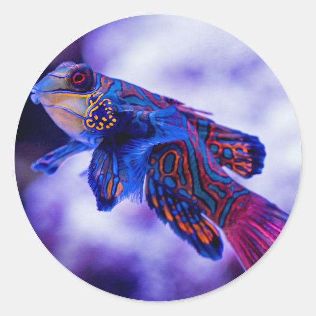 Adesivo Redondo Mandarin Goby Fish (Frente)