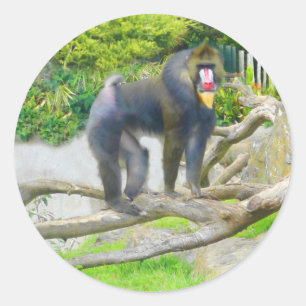 Adesivo Redondo Mandrill nº 7