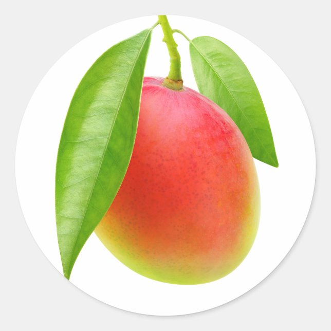 Adesivo Redondo Mango (Frente)