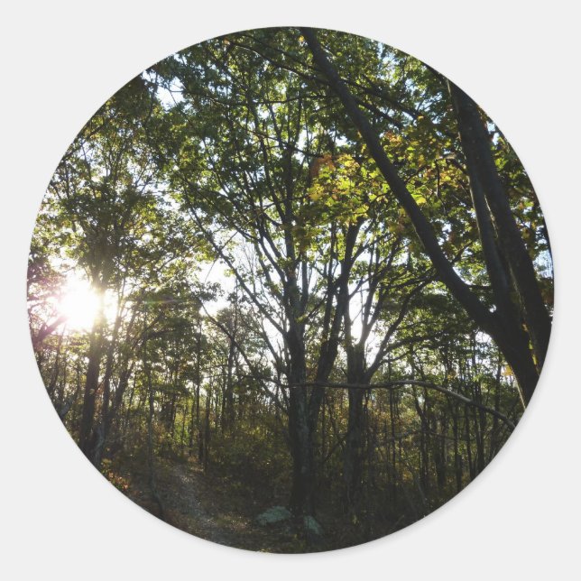 Adesivo Redondo Manhã do outono no Parque Nacional de Shenandoah (Frente)