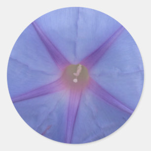 Adesivo Redondo Manhã - Flor de Glória