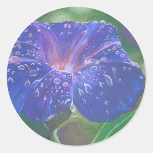 Adesivo Redondo Manhã Glória (Ipomoea Purpurea) Petais e Dew Dr.