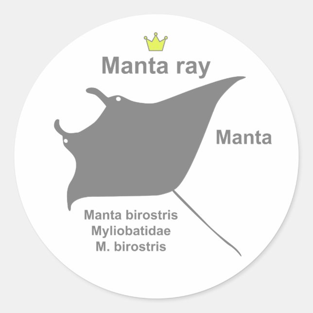 Adesivo Redondo Manta ray g5 (Frente)