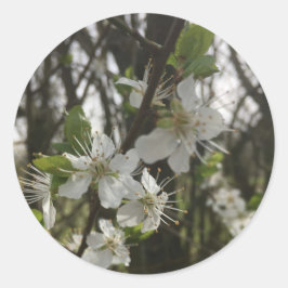 ADESIVO REDONDO MANTENHA-A - PUREZA DA ESPERANÇA