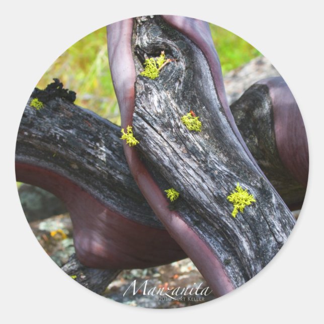 Adesivo Redondo Manzanita Sticker (Frente)