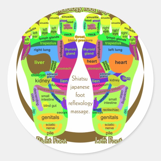 Adesivo Redondo mapa reflexológico (Frente)