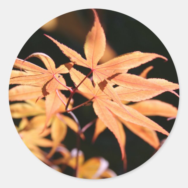 Adesivo Redondo Mapeador Japonês 6 Sticker (Frente)