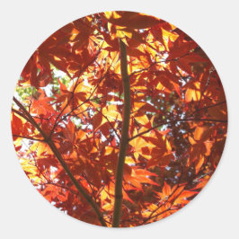 Adesivo Redondo Mapeamento Japonês no Sol