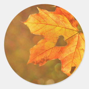 Adesivo Redondo Maple Leaf Heart