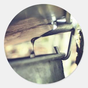 Adesivo Redondo Maple Syrup Sap Executando Natureza