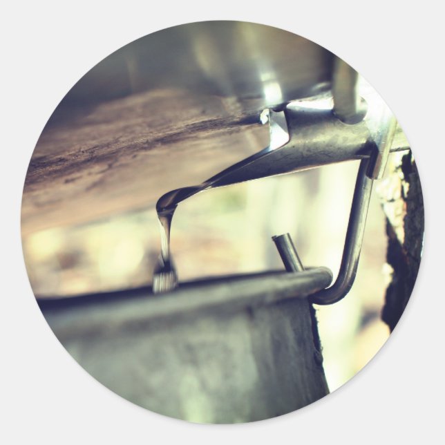 Adesivo Redondo Maple Syrup Sap Executando Natureza (Frente)