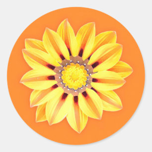 Adesivo Redondo Margarida Africana/Gazânia - Laranja e Amarelo