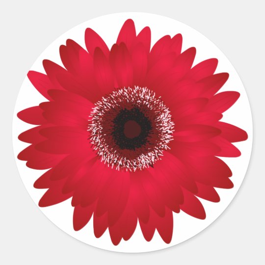 Adesivo Redondo Margarida Vermelha Do Gerbera Zazzle Com Br