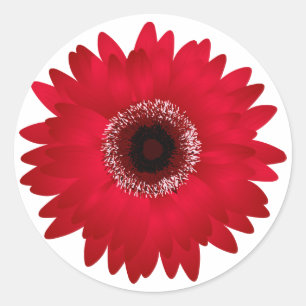 Adesivo Redondo Margarida vermelha do Gerbera