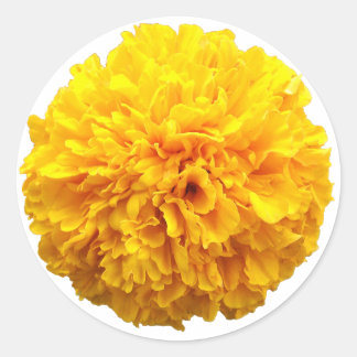 Adesivo Redondo Marigold
