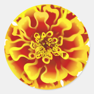 Adesivo Redondo Marigold Flower