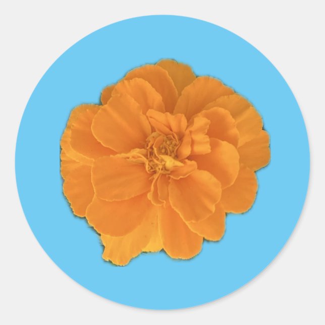 Adesivo Redondo Marigold Flower Sticker (Frente)