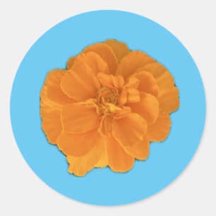 Adesivo Redondo Marigold Flower Sticker