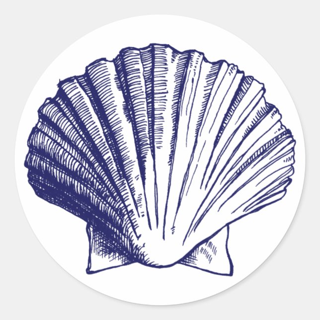 Adesivo Redondo Marinho Blue Sea Shell Sticker (Frente)