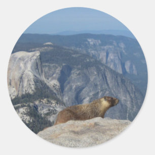 Adesivo Redondo Marmot Sobrevivendo a Metade do Come das Nuvens De