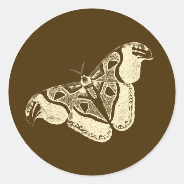 Adesivo Redondo Mata cigana, castanho de chocolate e bege (Frente)