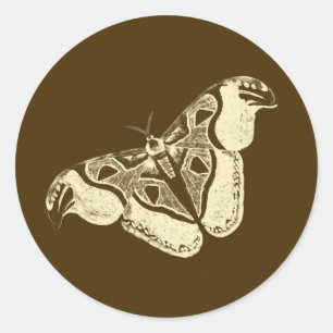 Adesivo Redondo Mata cigana, castanho de chocolate e bege