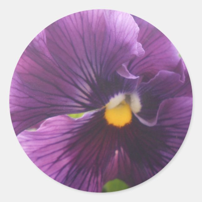 Adesivo Redondo Mecânica (Frente)