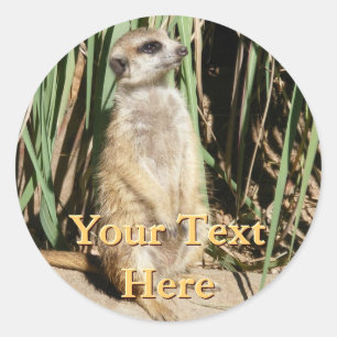 Adesivo Redondo Meerkat Stickers