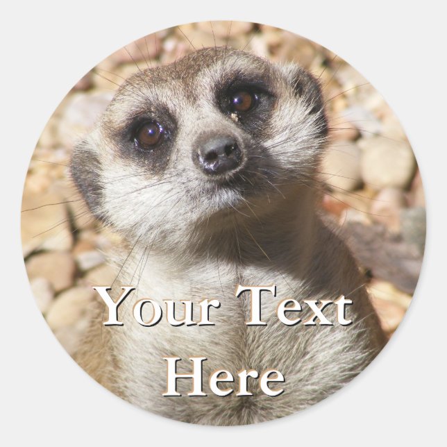 Adesivo Redondo Meerkat Stickers (Frente)