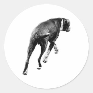 Adesivo Redondo Meia virada - Silhueta B&W