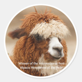 Adesivo Redondo Melhor Sobrancelha Unida de Alpaca