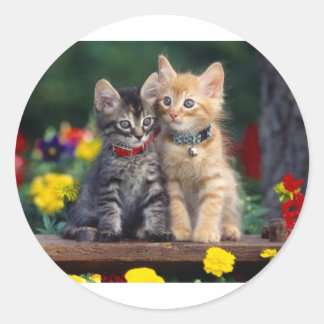 Adesivo Redondo Melhores Amigos