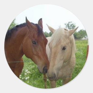 Adesivo Redondo Melhores Amigos para Sempre - Cavalos