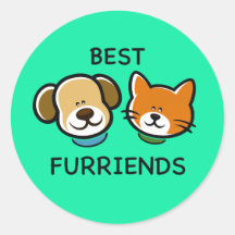 Melhores Amiguinhos – Cachorro & Gato Fofo