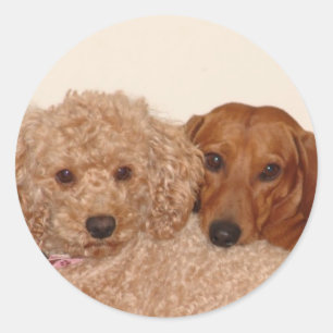 Adesivo Redondo Melhores Buds