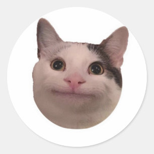Adesivo Redondo meme de gato engraçado