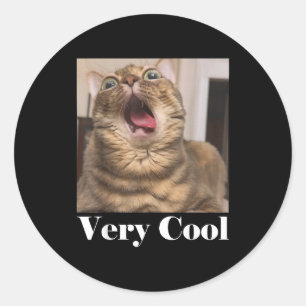 Adesivo Redondo Meme de Gatos Gráfico Humor de Gato Bobo Gato Engr