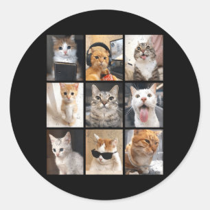 Adesivo Redondo Memes Engraçados Antigos Gato Fofo Homens Mulheres