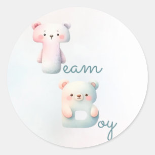 Adesivo Redondo Menino ou Garota Ursa Colorida Festa de Revelação 